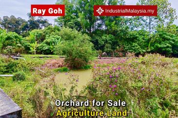 Kampung Mantin Dalam