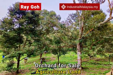 Kampung Mantin Dalam