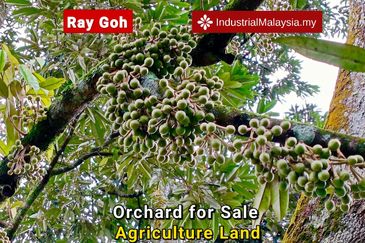 Kampung Mantin Dalam