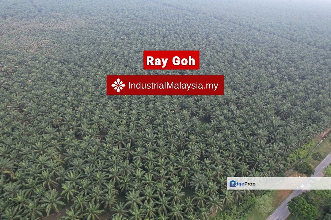 Morib, Kampung Kanchong, Banting, 10 acres agriculture land for sale , freehold , Selangor, Banting