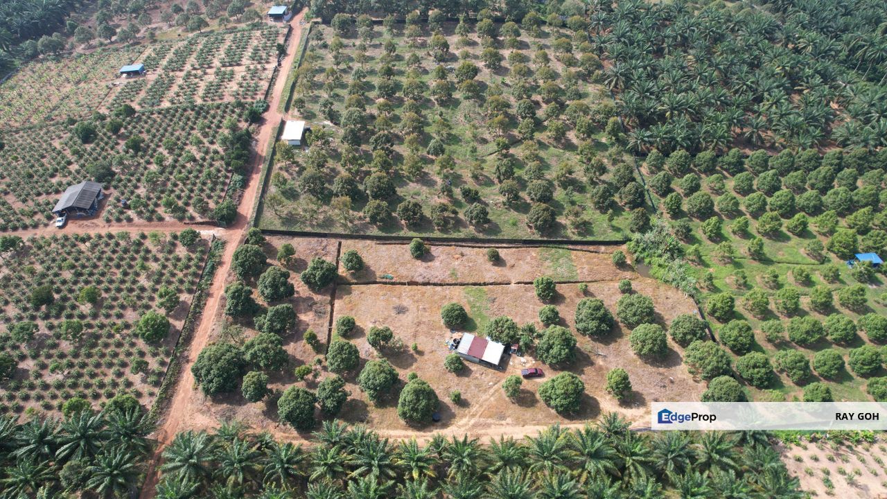 Mukim Jimah Bukit Pelandok Port Dickson Agri land, Negeri Sembilan, Port Dickson