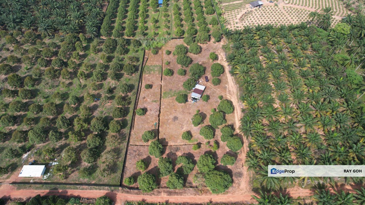 Mukim Jimah Bukit Pelandok Port Dickson Agri land, Negeri Sembilan, Port Dickson