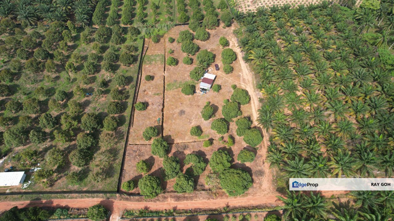 Mukim Jimah Bukit Pelandok Port Dickson Agri land, Negeri Sembilan, Port Dickson