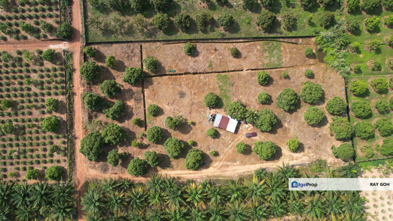 Mukim Jimah Bukit Pelandok Port Dickson Agri land, Negeri Sembilan, Port Dickson