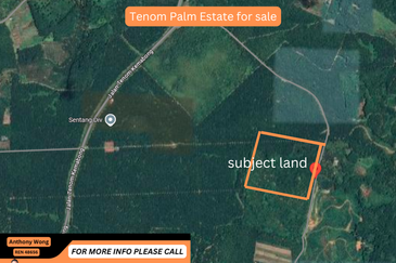 Tenom Estate palm Land 52.7 Acre CL999 Roadside