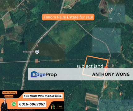 Tenom Estate palm Land 52.7 Acre CL999 Roadside, Sabah, Tenom