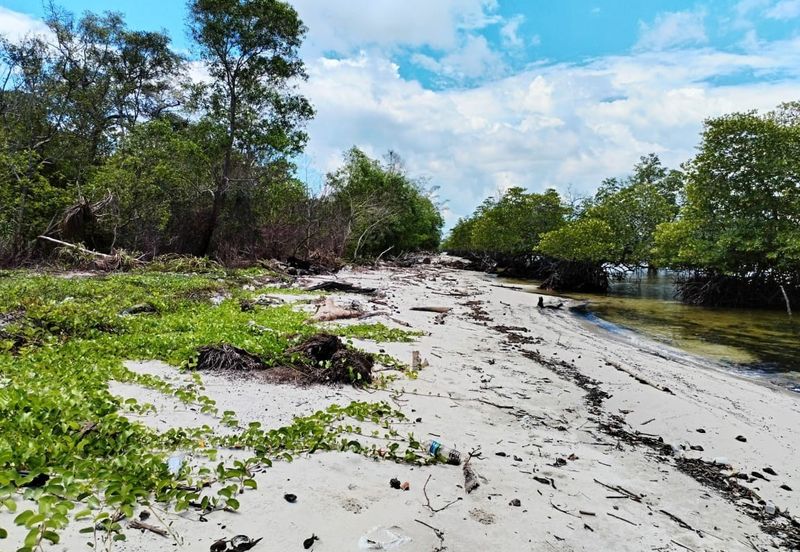 Menumbok beach land Kuala Penyu 