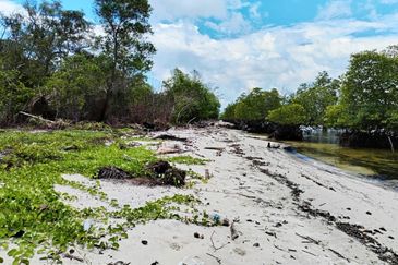 Menumbok beach land Kuala Penyu 