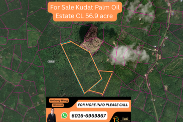 Kudat Sikuati Palm oil Estate CL 56.9 Acre