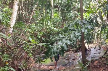 Kudat Suang Pai land CL 17 Acre