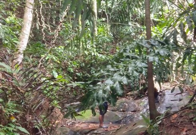 Kudat Suang Pai land CL 17 Acre