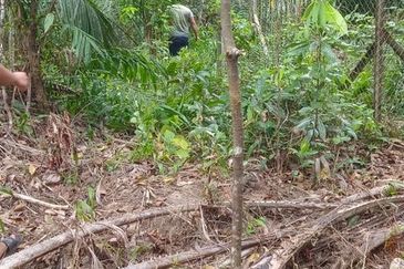 Kudat Suang Pai land CL 17 Acre