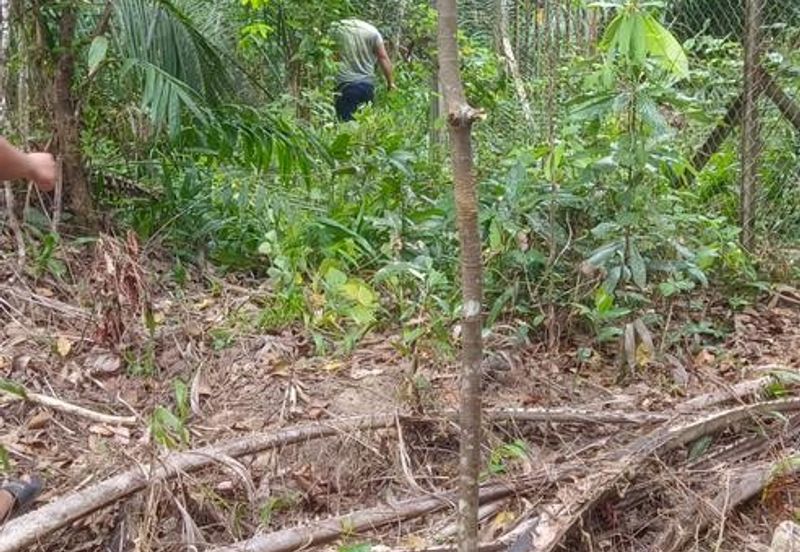 Kudat Suang Pai land CL 17 Acre