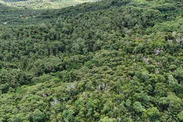 Kudat Suang Pai land CL 5.05 Acre