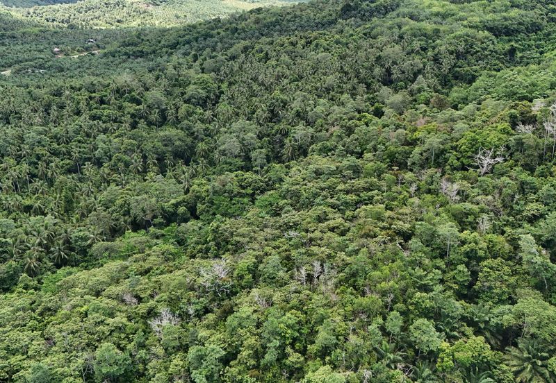 Kudat Suang Pai land CL 5.05 Acre