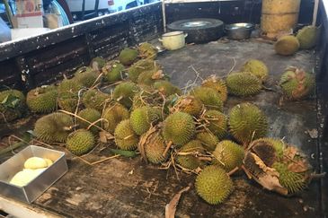 Sepilok Land CL 7.01 acres Sandakan