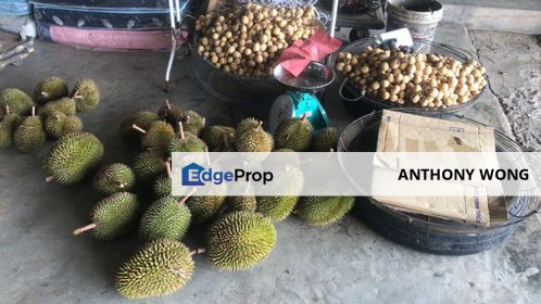 Sepilok Land CL 7.01 acres Sandakan, Sabah, Sandakan