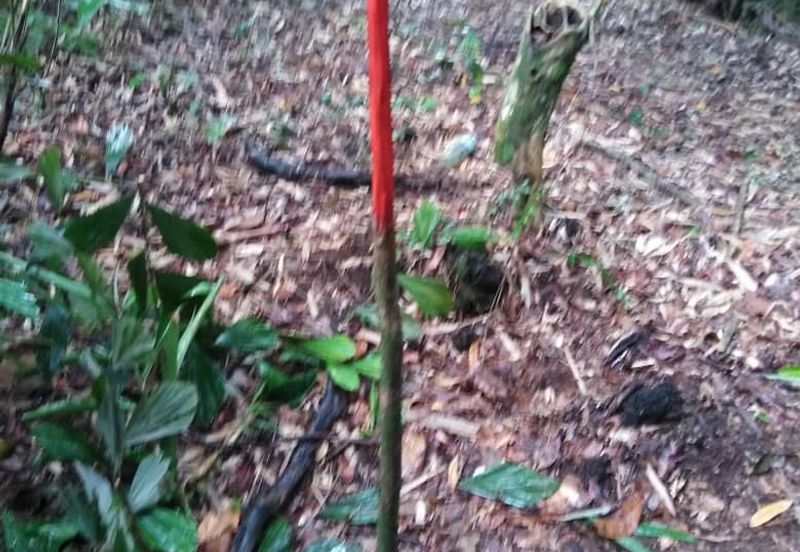 Kinarut Land kg.Tanaki NT 6 acre