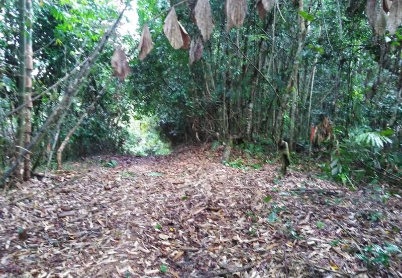 Kinarut Land kg.Tanaki NT 6 acre