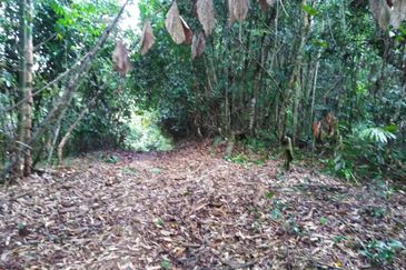 Kinarut Land kg.Tanaki NT 6 acre