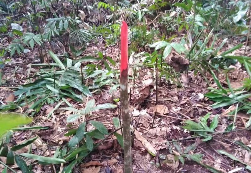 Kinarut Land kg.Tanaki NT 6 acre