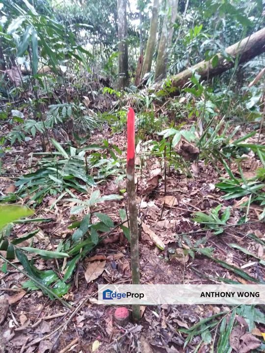 Kinarut Land kg.Tanaki NT 6 acre, Sabah, Papar