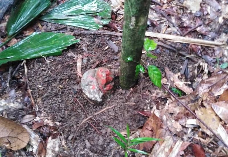 Kinarut Land kg.Tanaki NT 6 acre