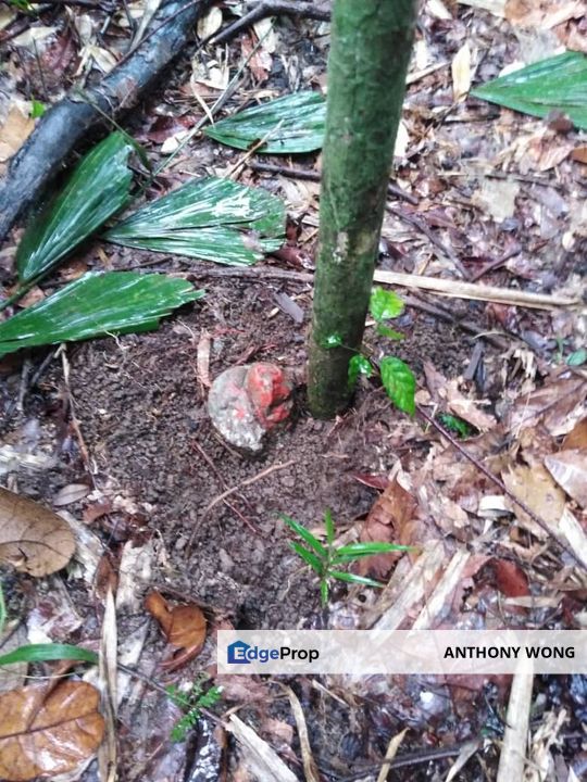 Kinarut Land kg.Tanaki NT 6 acre, Sabah, Papar