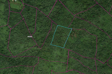 Kinarut Land kg.Tanaki NT 6 acre