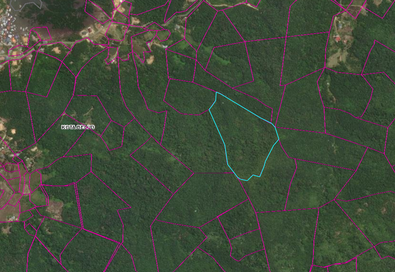 Kota belud Jalan Kelawat Ambong CL 20 acre