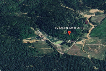 Kulim Kedah Land Freehold 25 acres