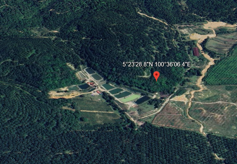 Kulim Kedah Land Freehold 25 acres