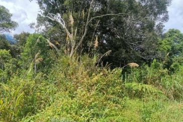 Bundu tuhan Ranau Land CL 4.771