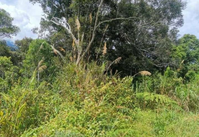 Bundu tuhan Ranau Land CL 4.771