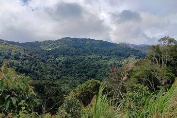 Bundu tuhan Ranau Land CL 4.771