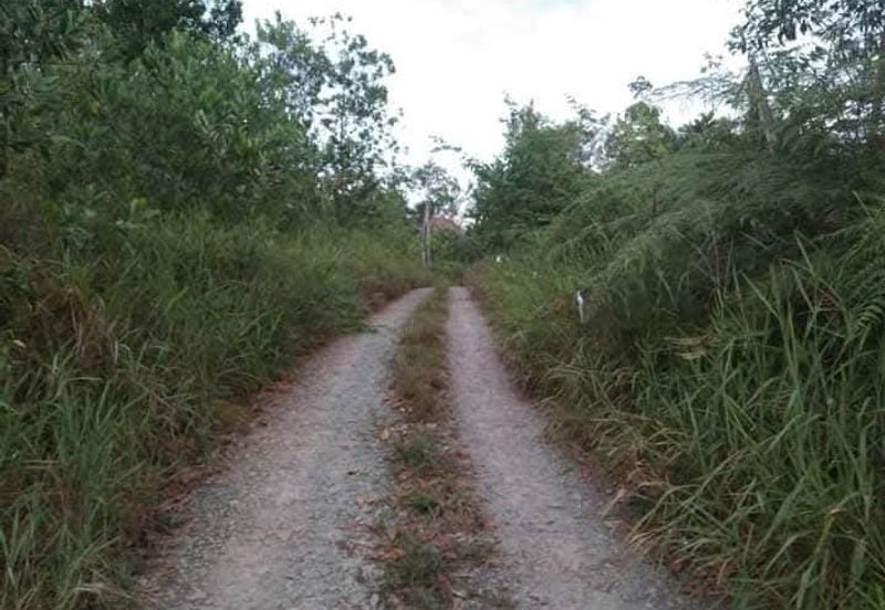 Inanam Land Kampung Tamalang Silou