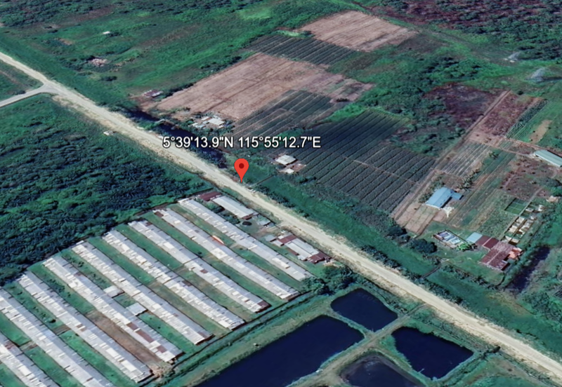 Kimanis flat Land Agriculture