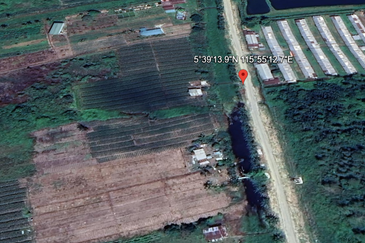 Kimanis flat Land Agriculture