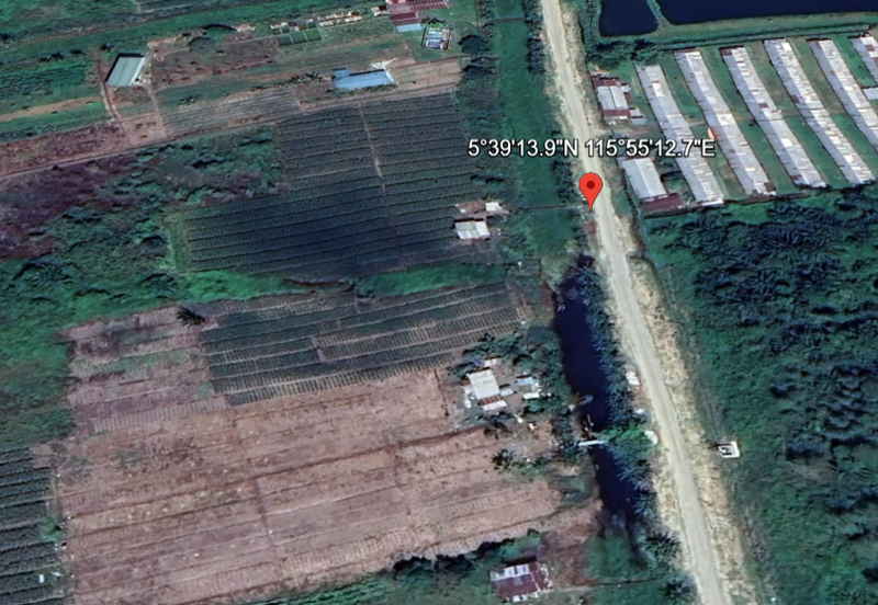 Kimanis flat Land Agriculture