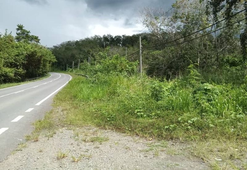 Keningau land for sale Roadside