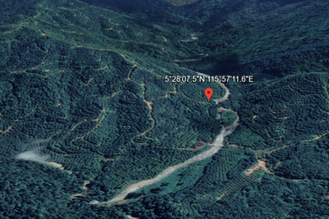 Ulu Kimanis land Palm trees estate Papar