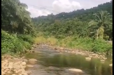 Ulu Kimanis land Palm trees estate Papar