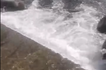 Ulu Kimanis land Palm trees estate Papar