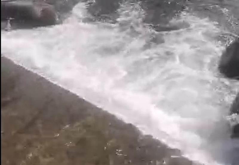 Ulu Kimanis land Palm trees estate Papar