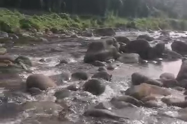 Ulu Kimanis land Palm trees estate Papar