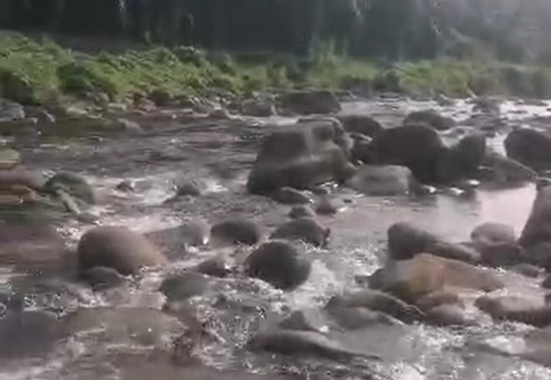 Ulu Kimanis land Palm trees estate Papar