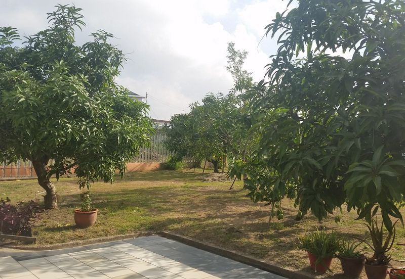 Single Storey Bungalow NT Land 