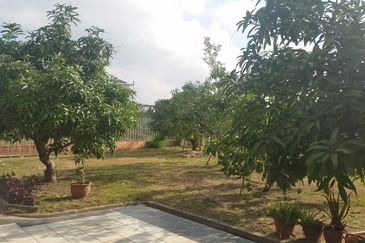 Single Storey Bungalow NT Land 