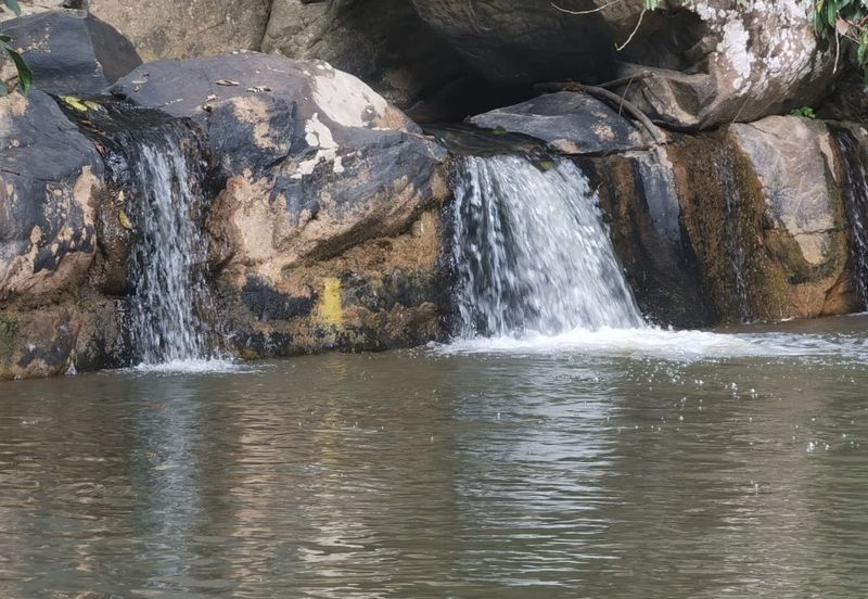 Sook Keningau Palm estate CL 250 Acre