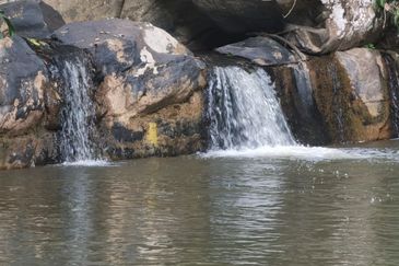 Sook Keningau Palm estate CL 250 Acre